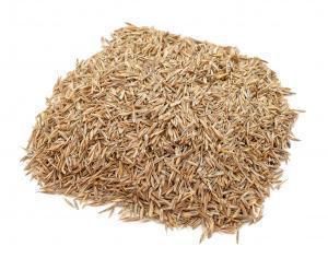 Grass Seed High Traffic 3Lb