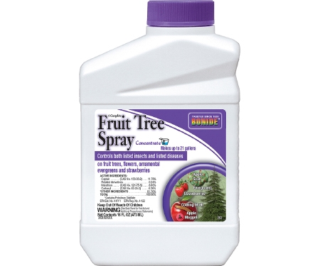 Fruit Tree PT Conc