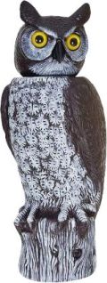 Owl 18" Rotating Head