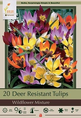 Bulbs Deer Resistant Astd