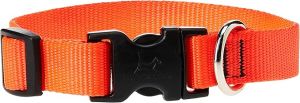 Lupine Collar 1x12"-20" Orange