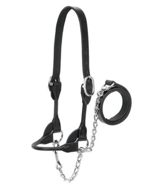 Cow Show Halter Black W/ Nickle Hardware Large