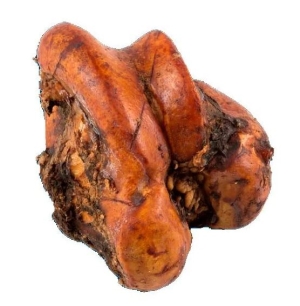 Bone Femur Knuckle Large