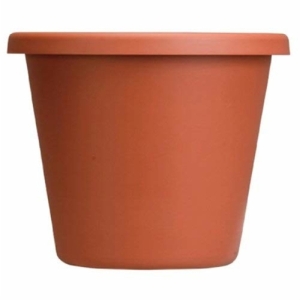 Planter Classic 6" Clay