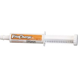 VitaFerm VitaCharge Gel 60mL