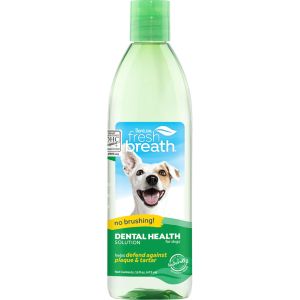 Fresh Breath Original 16Oz
