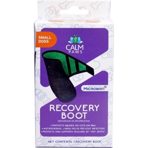 Sm Recovery Boot