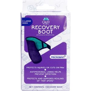 Xl Recovery Boot