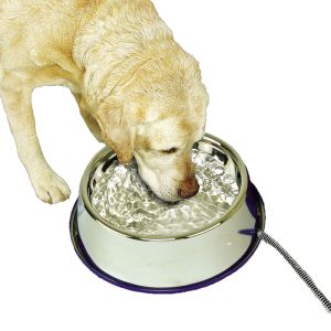 K&h 120oz Ss Heated Pet Bowl
