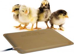 Thermo Peep Heated Pad 9X12" 25W