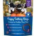 Nbone Puppy Pmpkn Ring 3pk