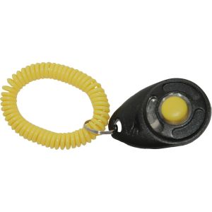 Training Clicker