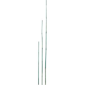 4' Bamboo Hd Stake 6pack