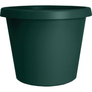 Planter Prima 6" Evergreen