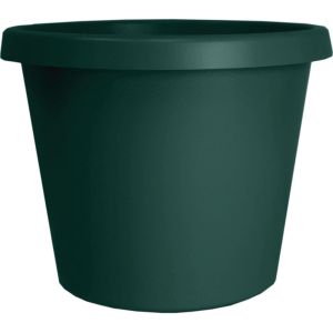 Planter Prima 8" Evergreen