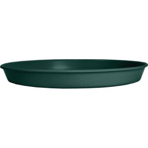 Saucer Prima 8" Evergreen