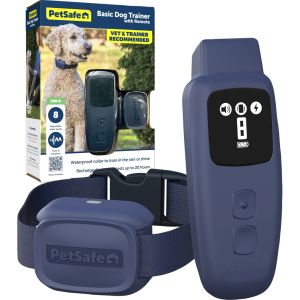 Ps Basic Remote Trainer 300ft