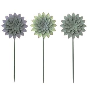 Pot Pick Succulent Astd