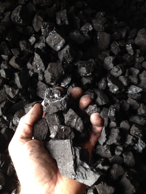 Cornwall Nut Coal 40lb