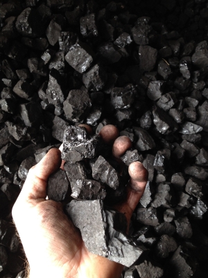 CORNWALL NUT COAL 40# q