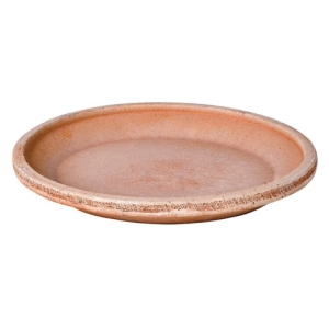 Saucer 10.2" Rnd