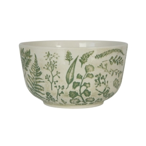 Bowl Ferns 4.5"