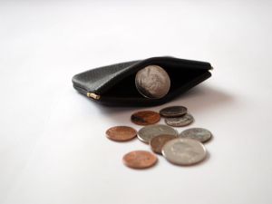 Pinch Coin Purse