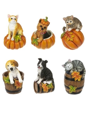 DOG/CTS PMPKN FIGS q6 RES