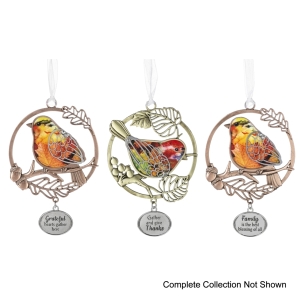 Colors Of Fall Orns 3zi