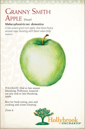 Apple 7g Granny Smith Smdwf Z5