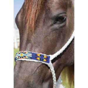 Cowboy Braided Halter Royal Blue
