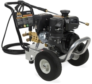 RENT ME: Pressure Washer 3200Psi Ml-T-M #6