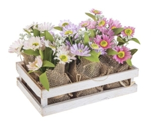 Daisy Bnch 1 Plyst Ppr Wd