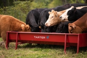 3'x10' Hd Feed Silage Bunk