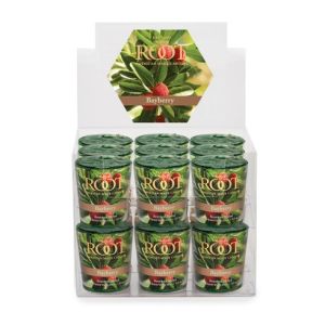 Root Candle Votive 20hr Bayberry
