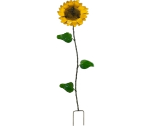Stake Sunflower Med