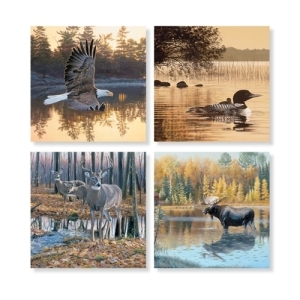 Coaster Wildlife In Water Asst