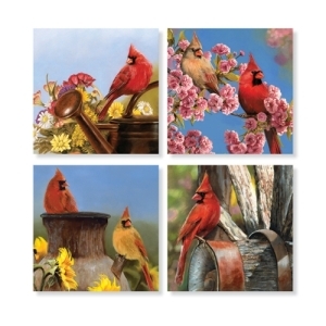 Coaster Cardinal Assorted