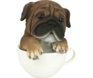 Pup In Cup Pug