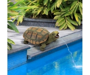 Spitter Sprinkle The Turtle