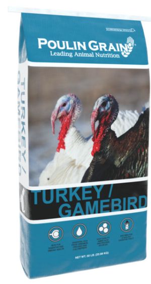 Poulin Grain Turkey Grower 20% Pellet