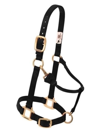 Horse Halter Nylon Pony/Weanling Black W/ Snap Cheek