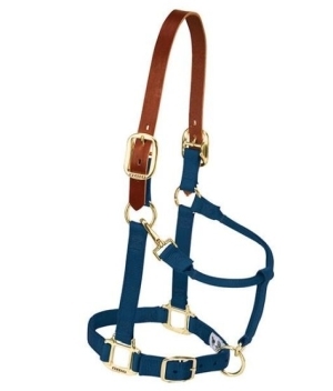Horse Halter Nylon Breakaway Avg Navy