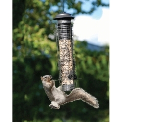 Bird Feeder Tube Squirrel Resistant