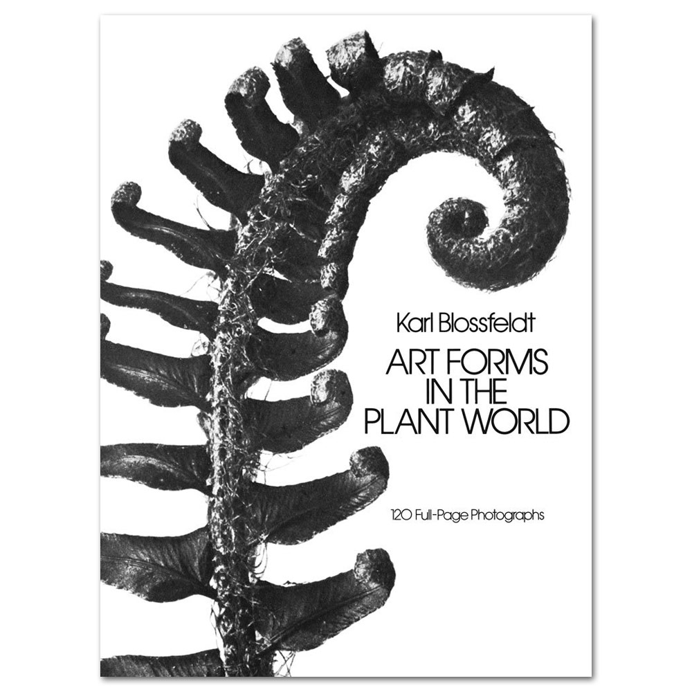 Art Forms in the Plant World