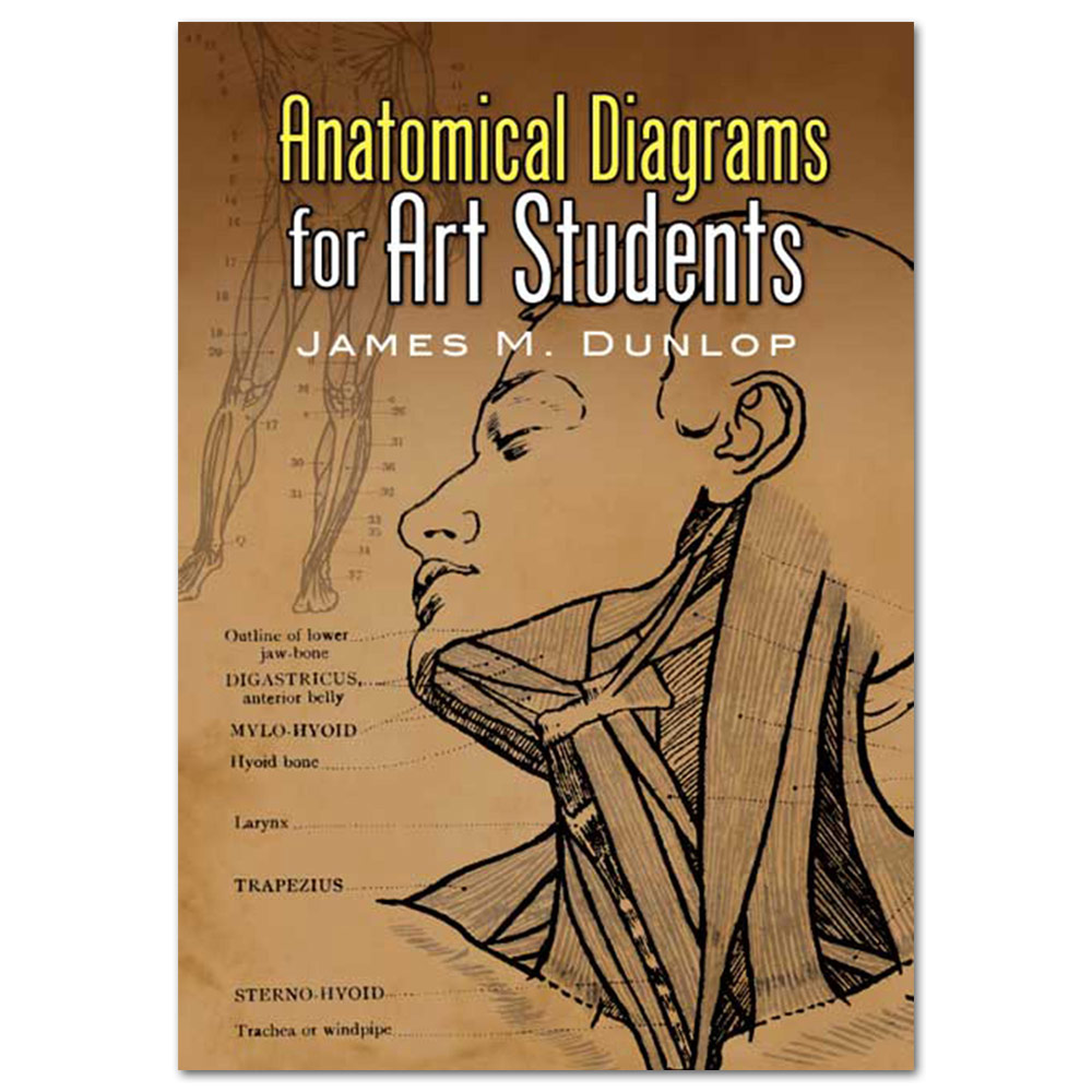 ANATOMICAL DIAGRAMS FOR ART STUD