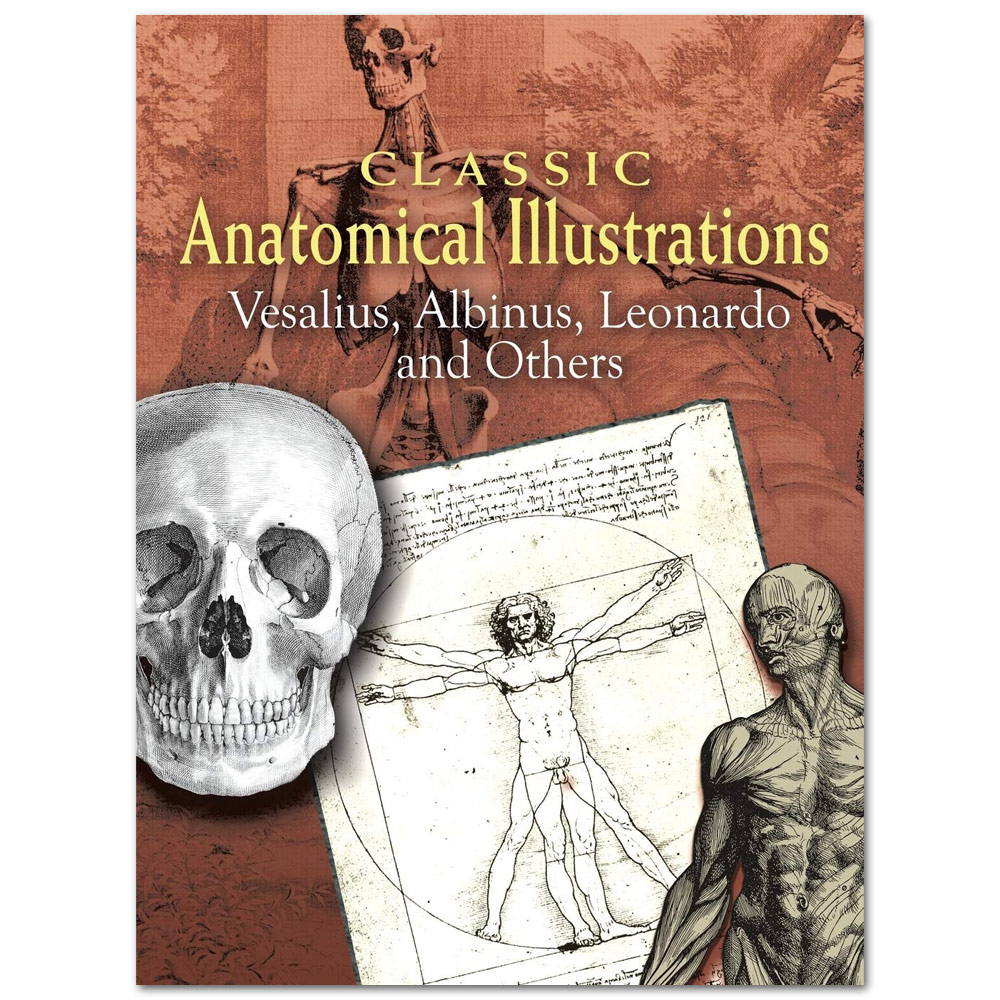 Classic Anatomical Illustrations: Vesalius, Albinus, Leonardo and Others