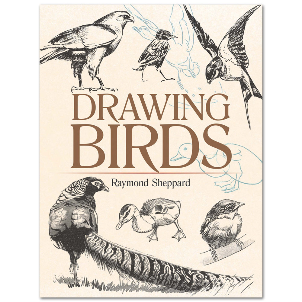Drawing Birds