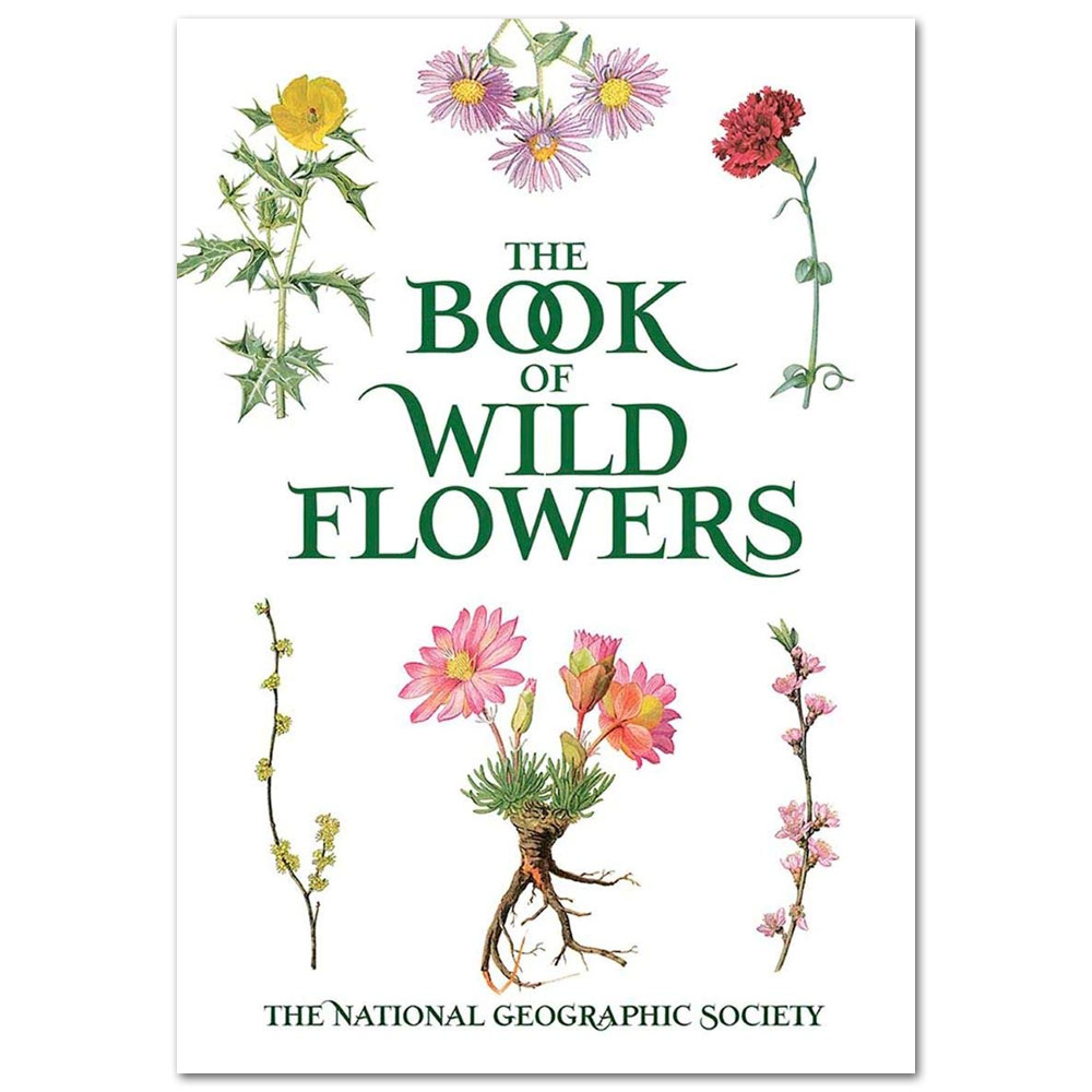 The Book of Wild Flowers: Color Plates of 250 Wild Flowers and Grasses