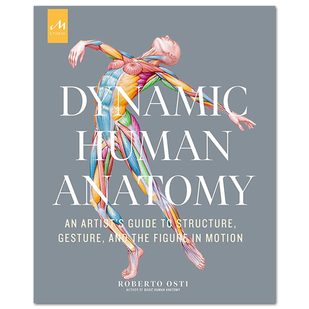 Dynamic Human Anatomy